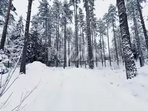 Фото к объявлению #21984833