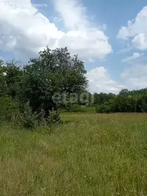 Фото к объявлению #20502054