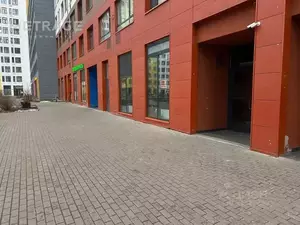 Фото к объявлению #22064921