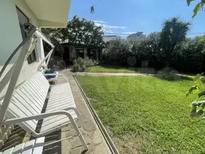 Фото к объявлению #20394935