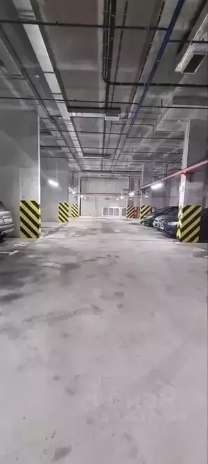 Фото к объявлению #20668221