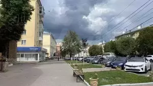 Фото к объявлению #21082289