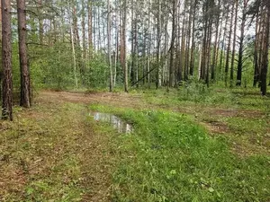 Фото к объявлению #21317748