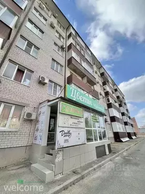 Фото к объявлению #20368333