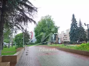 Фото к объявлению #20223379