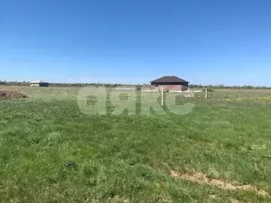 Фото к объявлению #22141824