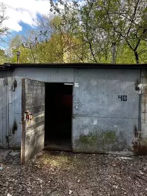 Фото к объявлению #22074279