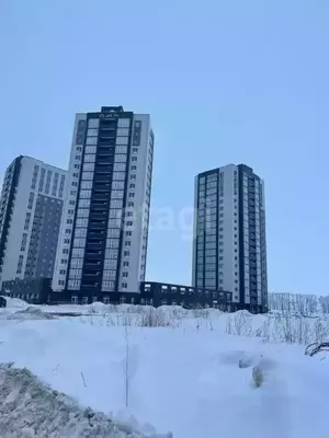 Фото к объявлению #22069718