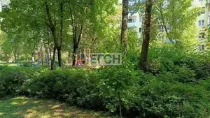 Фото к объявлению #20922372