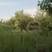 Фото к объявлению #