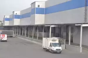 Фото к объявлению #21058862