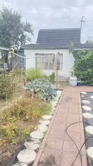 Фото к объявлению #22004977