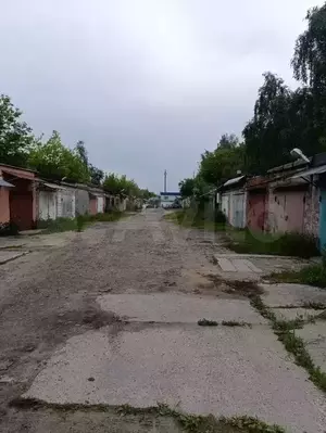 Фото к объявлению #22086128
