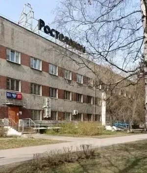 Фото к объявлению #22151381