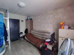 Фото к объявлению #21164486