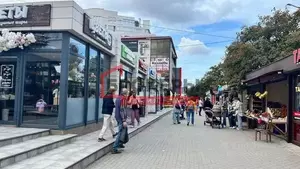Фото к объявлению #22101235