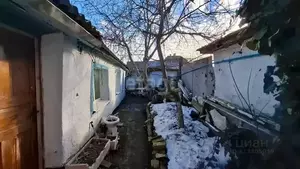 Фото к объявлению #21939521