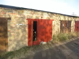 Фото к объявлению #22020271