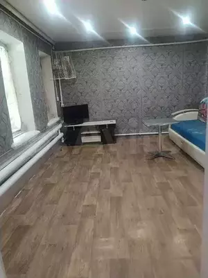 Фото к объявлению #20887400