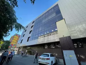 Фото к объявлению #22289426