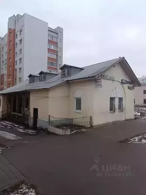 Фото к объявлению #22124825