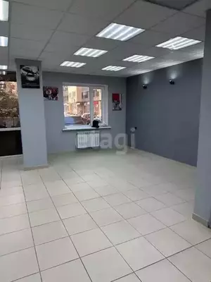 Фото к объявлению #20439392