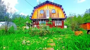 Фото к объявлению #20896564