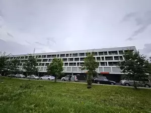 Фото к объявлению #20865032