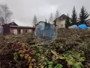 Фото к объявлению #21912349