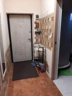 Фото к объявлению #22187000