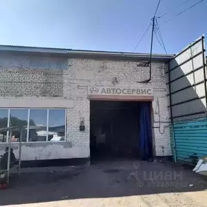 Фото к объявлению #22247834