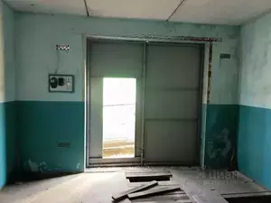 Фото к объявлению #20923051