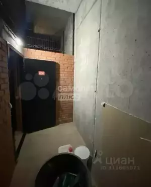 Фото к объявлению #21932178