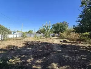 Фото к объявлению #22248797