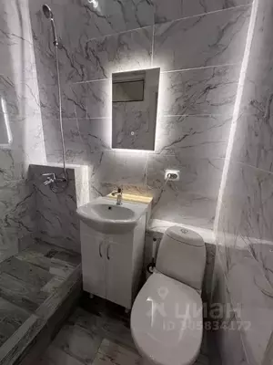 Фото к объявлению #21259354