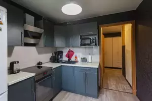 Фото к объявлению #21774306