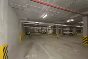 Фото к объявлению #22163326