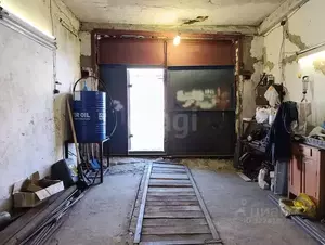 Фото к объявлению #22220799