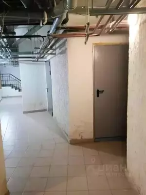 Фото к объявлению #20900143