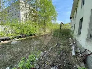 Фото к объявлению #22184121