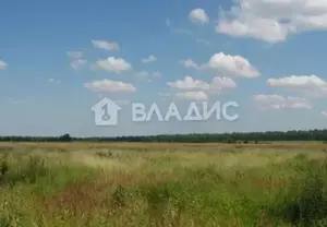 Фото к объявлению #21220405