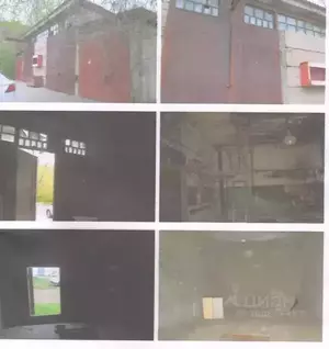 Фото к объявлению #21692997