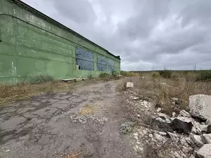 Фото к объявлению #21274521