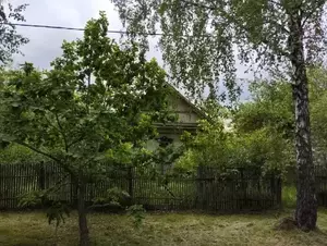 Фото к объявлению #22084666