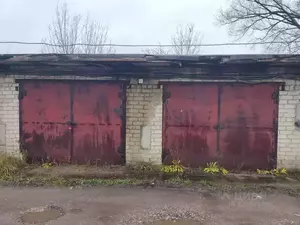 Фото к объявлению #22272515