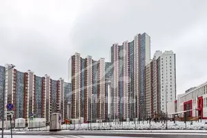 Фото к объявлению #21958121