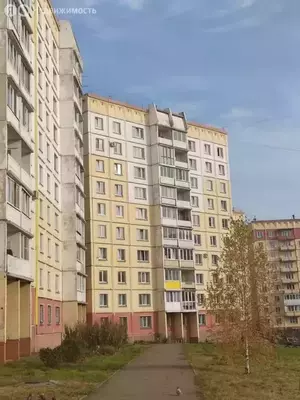 Фото к объявлению #21223330