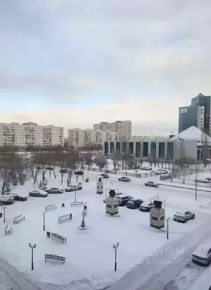 Фото к объявлению #22247066