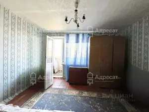 Фото к объявлению #22277721