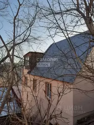 Фото к объявлению #22003279
